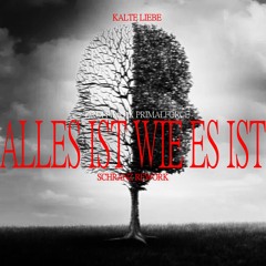 Kalte Liebe - Alles Ist Wie Es Ist (Primal Force X DROPFIRST SCHRANZ REMIX) "FREE DOWNLOAD"