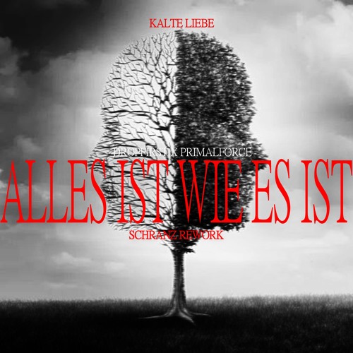 Kalte Liebe - Alles Ist Wie Es Ist (Primal Force X DROPFIRST SCHRANZ REMIX) "FREE DOWNLOAD"