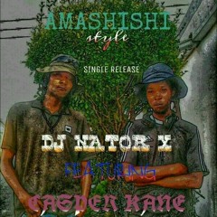 Amashishi style_DJ NatorX  f.t Casper Kane.mp3