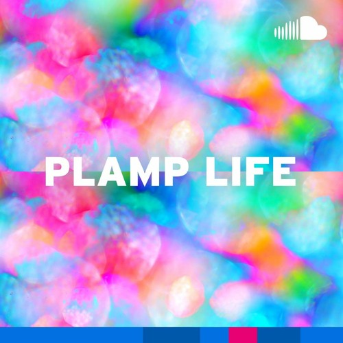 Trippy Dance Vibes: Plamp Life