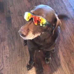 Bring the House Vol 1