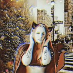 Sly Fox REMIX