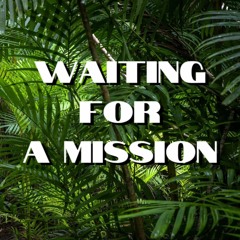 Waiting For A Mission