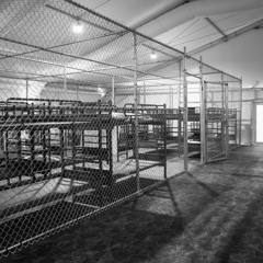 Cruelty is the Point