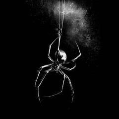 VENOM (Extreme Slowed)