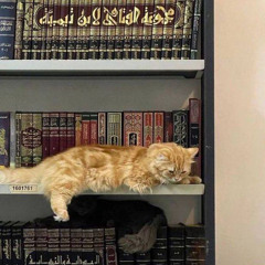 ‎⁨سَنَفْرُغُ لَكُمْ أَيُّهَ الثَّقَلَانِ | محمد عبده⁩.