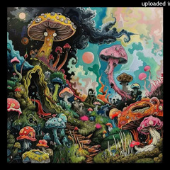 Red Hot Chili Peppers - Rolling Sly Stone