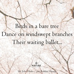 avianballet 476 naviarhaiku - 2:16:23, 5.41 PM