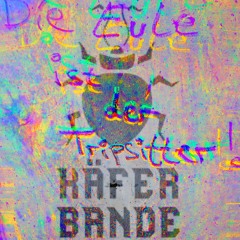 |@SecretRaveHorrem|EricsUndNilsBdayEinschlag|WasIstMitDiesemSSchmier|FreeDL|