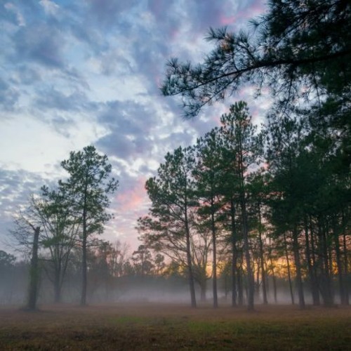 10.23.2022 ambient background music 👳‍♂️ FREE DOWNLOAD