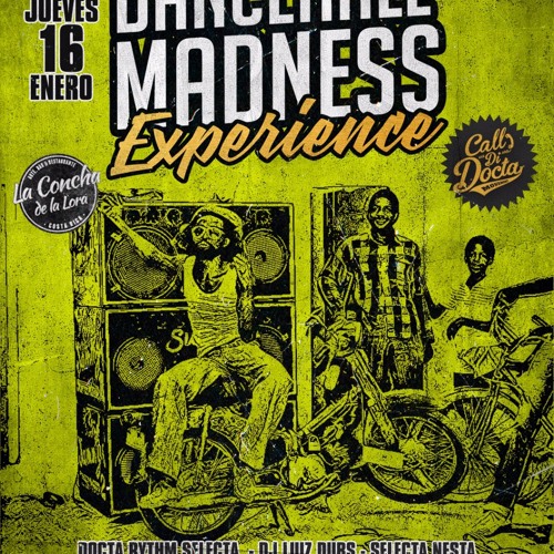 Dancehall Madness (LIVE) 2000 Al 2009 - Selectah Gab & Iration Selectah