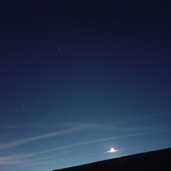 القارئ: اسلام عثمان