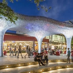 Best Things To Do In The Domain Austin Tours Review