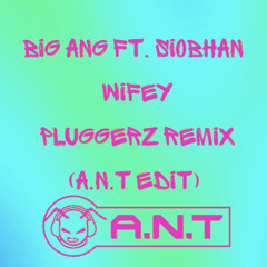 Big Ang ft. Siobhan - Wifey (Pluggerz Remix) (A.N.T edit) FREE DL