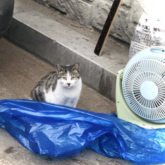 [Friends] Phoebe Buffay - Smelly Cat (cover)