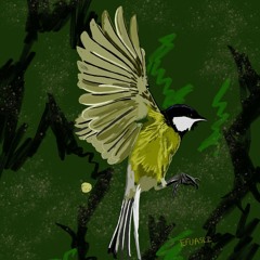 Nyoni Yezwe Ft Sabelo Nzuza (original).mp3