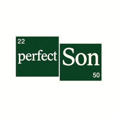Perfect Son (prod.MLA)