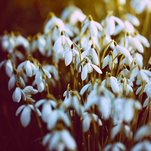 February