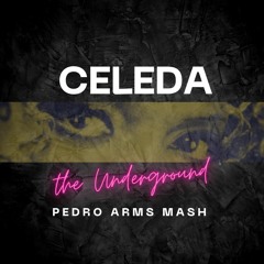 Celeda, Roger Grey - The Underground (Pedro Arms Mash) #FREE DOWNLOAD