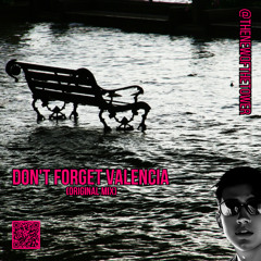 Don't Forget Valencia (Original Mix)