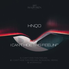 AID003 - HNQO - I Cant Hide This Feeling