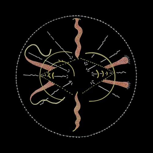 Ka Baird - Gate VIII
