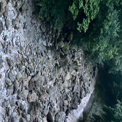 Argraff (in Memoriam) Porthllwyd