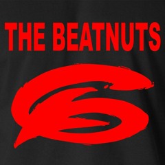 The Beatnuts -Do You Believe (Potato God Mix)2020