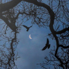 nobody by mitski [slowed]