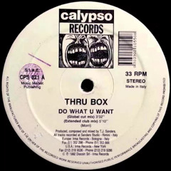 Thru Box - Do What U Want (Extended Club Mix)