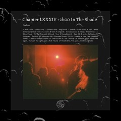 Chapter LXXXIV : 2h00 In The Shade