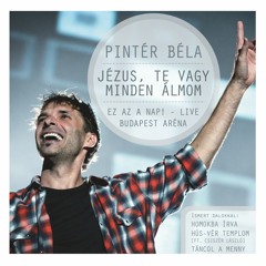 Pintér Béla - Rejts most el