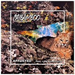 Afflicted (feat. Liam McLaughlin)