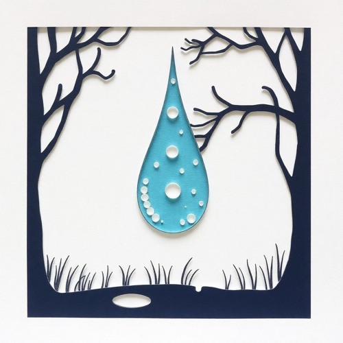 Raindrop Reverie
