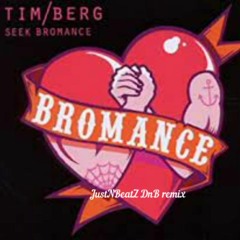 Tim Berg(avicii) - Seek Bromance (JustNBeatZ DnB Remix)