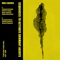 PREMIERE: Mule Driver - Phantom Activation [Confused Machines]