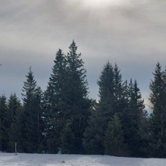 Heiligste Nacht (Trad. Weihnachtslied, trad. Christmas Song)