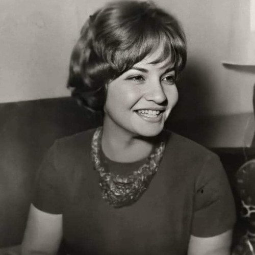 بسبوسة - شادية