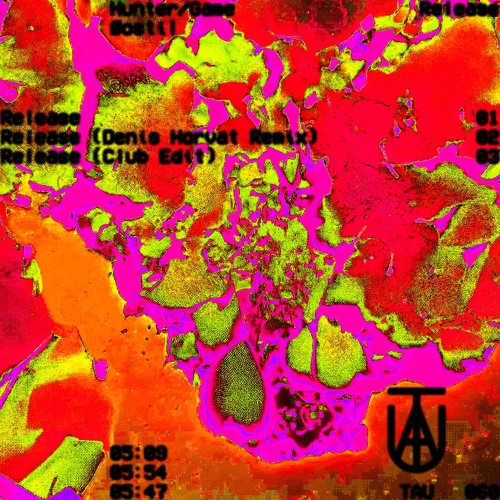 PREMIERE: Hunter/Game & Øostil - Release (Denis Horvat Remix) [TAU]