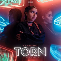 Natalie Imbruglia - Torn (DJ MorpheuZ Remake)