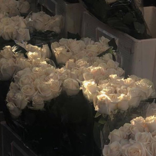 ‎⁨سورة الرعد تلاوة تنسيك هموم الدنيا - عبد الرحمن مسعد⁩