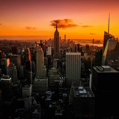 Concrete Jungle Blues