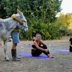 Donkey assisted therapy