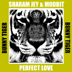 Sharam Jey & Modbit - Perfect Love  [OUT DEC 13TH]