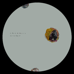PREMIERE: Garvin, J. Park - Paper Chase