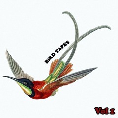 Bird Tapes Vol 1