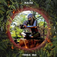 Nato - Terra Nui Mix