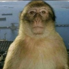 TADA KOE HITOTSU (ONE VOICE) - Syensan REMIX