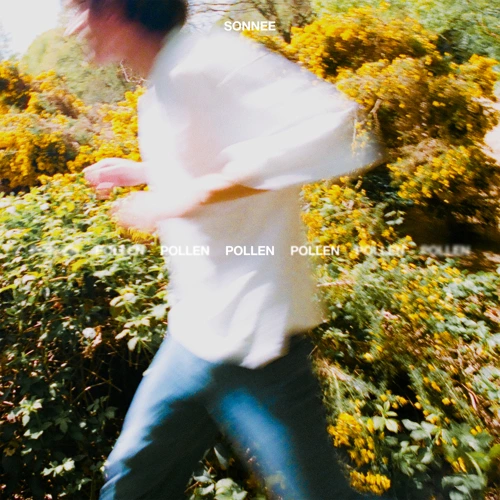 Artwork for the song Sonnee - Pollen by Sonnee on Next Sound