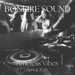 Timeless Vibes - Spring Reggae Mix 2023